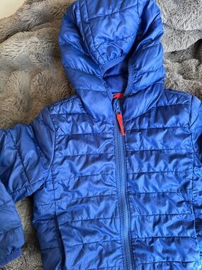 Primary Blue Hooded Puffer Jacket: Full Zip-Up